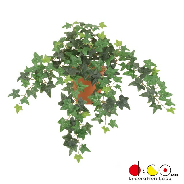 ユーロアイビーブッシュ S ツートングリーン 《ポット別売り》 LEB8343STTGR アイビー 蔦 ツタ つた フ..