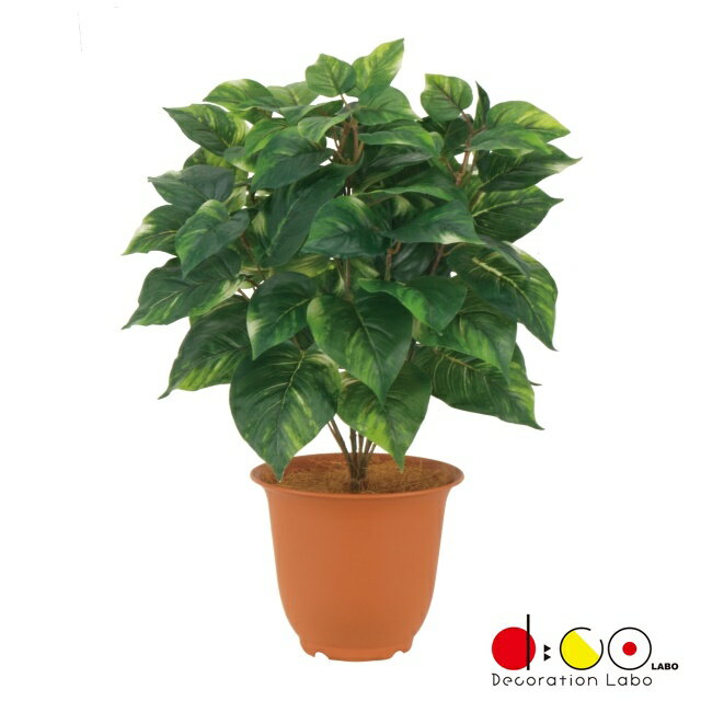 プレミアムポトスブッシュ*10 ビニールコーティング 屋外対応 《ポット別売り》 LEB8354 ポトス フェイ..