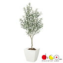【法人様限定・本州のみ】150cm 南欧オリーブツリー 《ポット別売り》 LET2089 フェイクグリーン ツリー 人工観葉植物 オリーブ 木