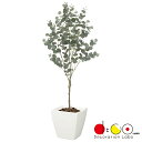 【法人様限定・本州のみ】150cm ユーカリツリー 《ポット別売り》 LET2090 フェイクグリーン ツリー 人工観葉植物 ユーカリ 木