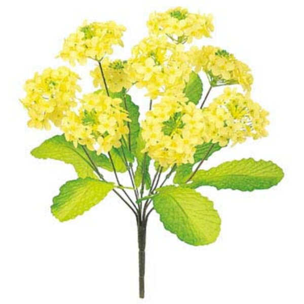 菜の花の花言葉を知ってる 贈り物におすすめな由来や意味をご紹介 暮らし の