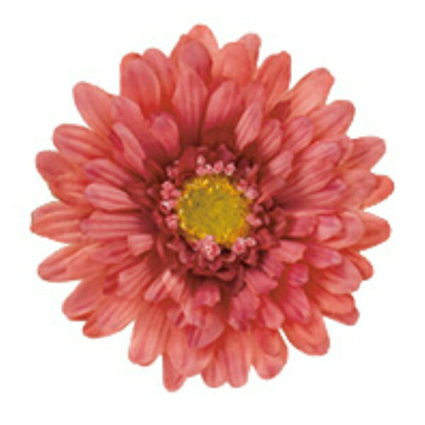 ���ե��󥬡��٥� �⡼�� FLS5264MV ���ե��󥬡��٥� �����٥� ¤�� �����ȥե� ���ץ쥤