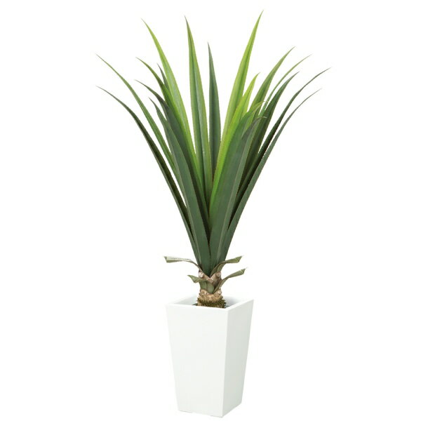 【法人様限定】 メキシカンアロエプラント S *18 プラスチック 《ポット別売り》 LET2067SGL18 フェイ..