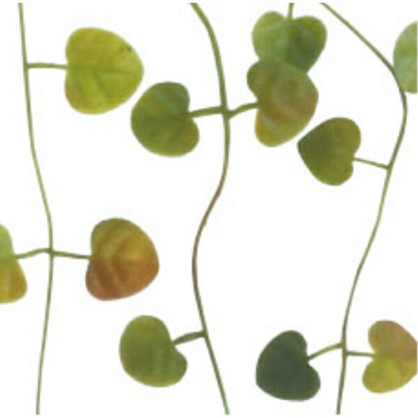 �ϡ��ȥ�����Х��� *4 �ץ饹���å� ���꡼��֥饦�� �����б� LEV9011GRBR �ե��������꡼�� �꡼�� �Х��� « �͹����տ�ʪ �����б� �ϡ��ȥ�����Х��� �ϡ��ȥ�����