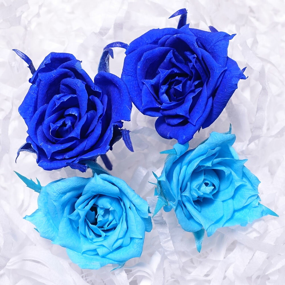 【デコレジーナ】プリザーブドフラワー　マイクロローズ単品　4花セット ハーバリウム アロマワックス サシェ レジンアクセサリー　手芸　アレンジメント　花の日ギフト　バレンタイン　プレゼント　誕生日　お祝いのサムネイル