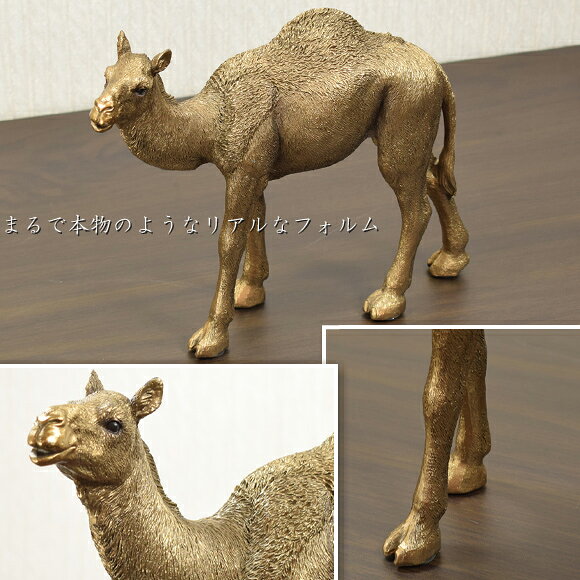 Rashid ラシード ブラウンキャメル ラク...の紹介画像2