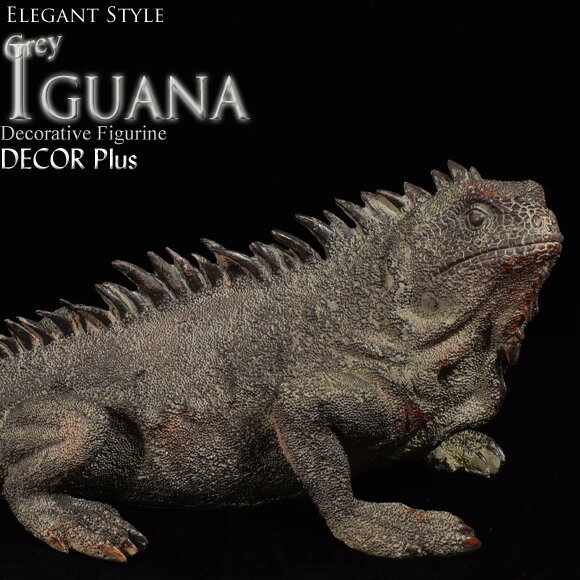 商品名：Iguana　グレイイグアナ　リアルなイグアナの置物 グレーの色合いのイグアナのオブジェ。 背中や棘の質感、じっと何かを見ている表情、表面のブツブツや喉元のふくらみ（デュラップ）など、単色ですがリアルな風合いに作られています。 イグアナ好きにはリアルさがたまりませんが、苦手な人は触るのもちょっと躊躇しそう…。（当店スタッフの中にも、触るのを拒む者も…） 比較的大きなサイズでしっかりと作られているので、存在感がありますよ。 細部まで丁寧に作られたお品です。 数量限定ですので、気になった方はお早めに！ サイズ：H約16×W約42×D約18(cm) 重さ　：約1.5kg 素材　：硬質樹脂 　エレガントな洋書スタイル Iguana　グレイイグアナ　リアルなイグアナの置物 ＜Good Point！　バイヤーズ　CHOICE Point＞ 　「リアルな迫力」 グレーの色合いのイグアナのオブジェ。 背中や棘の質感、じっと何かを見ている表情、表面のブツブツや喉元のふくらみ（デュラップ）など、単色ですがリアルな風合いに作られています。 イグアナ好きにはリアルさがたまりませんが、苦手な人は触るのもちょっと躊躇しそう…。（当店スタッフの中にも、触るのを拒む者も…） 比較的大きなサイズでしっかりと作られているので、存在感がありますよ。 細部まで丁寧に作られたお品です。 数量限定ですので、気になった方はお早めに！ サイズ：H約16×W約42×D約18(cm) 重さ　：約1.5kg 素材　：硬質樹脂 【ハンドメイド、海外輸入品について】 DECOR Plusでは海外からの輸入製品を取り扱っております。 日本にないようなデザインや色を発見できる一方、商品は現地職人のハンドメイドで作られているため、日本の機械で作った工業製品とは、どうしても品質が異なります。 こちらのお品も製造ムラ、色ムラ、若干のカケ、ヒビ、キズ、汚れなどの様々なムラがある場合がございます。 色が取れていたり、表面に汚れや着色が付いている場合がございます。 若干歪んでいるお品が含まれる場合がございます。 最初の内は様々なにおいがする場合もございます。（樹脂製のため避けがたい事象ですので予めご承知おき下さい） また、サイズが異なる場合がございます。 ハンドメイドの工程に入り込んだもので、人の手の温かみを感じさせ、親しみを感じる利点もございますが、完成度の高さを求める方にとっては、ムラが気になる商品かもしれません。 不備が目立ちすぎるお品は検品の際に除いておりますが、完璧さを求める方、神経質な方はご購入をご遠慮ください。 （品質の精度より「探すと見つからないデザイン」を重視して仕入れましたので、質よりもデザインの美しさを求める方向きの商品です） ※実際見た場合と同じ色合いになるよう、商品撮影には最善の努力をしておりますが、ご覧頂いてる環境やパソコンによって、若干色が異なって見えることがございます。 何卒ご了承ください。 【お届けは宅配便（メール便不可）】