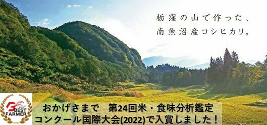 [2023年産新米・一等米