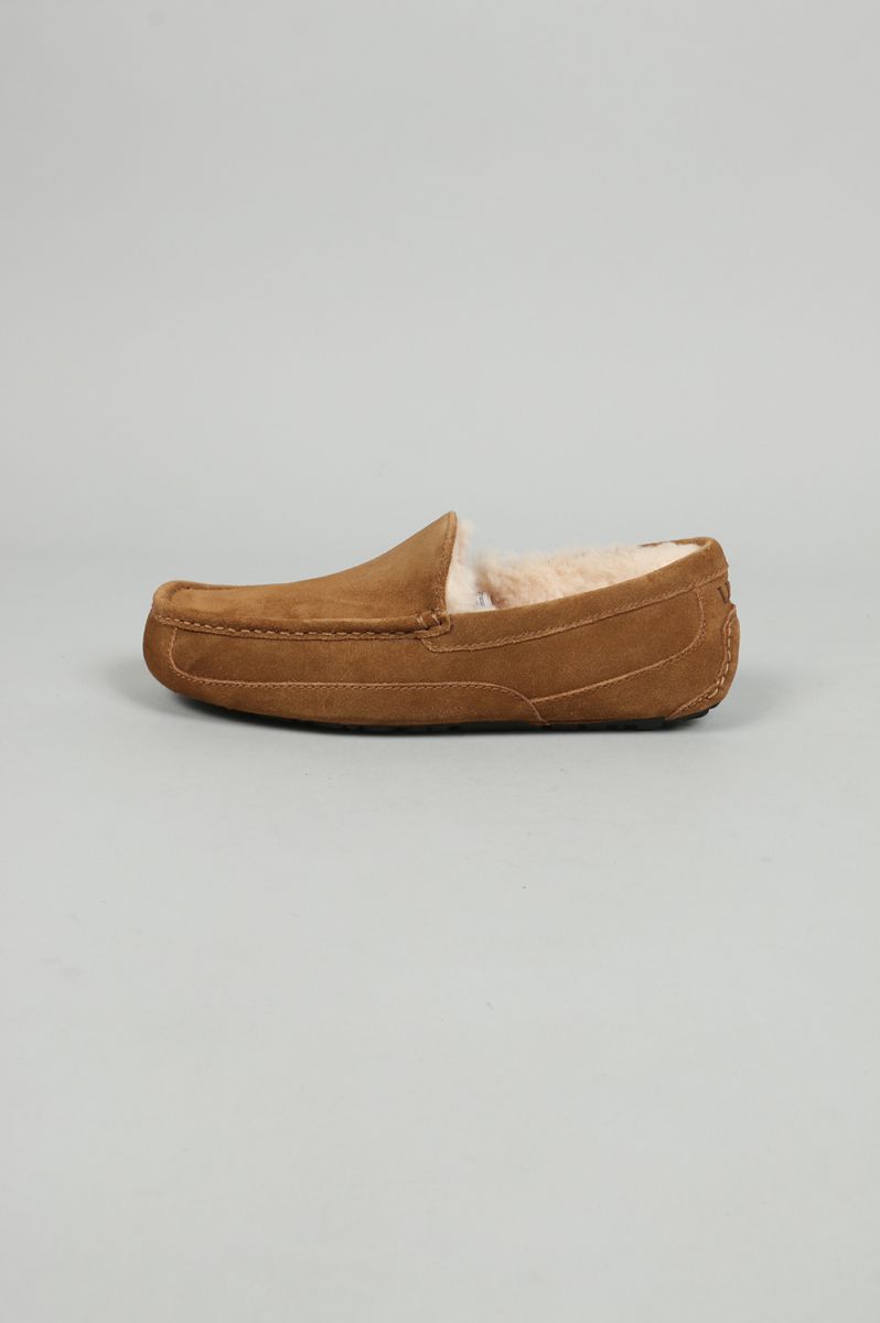 【30%OFF】アグ メンズ UGG ASCOT チェストナット【正規取扱店】