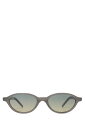 Alien - Grey / Meadow Gradient ( 816497033458 ) AKILA(アキラ)(4)
