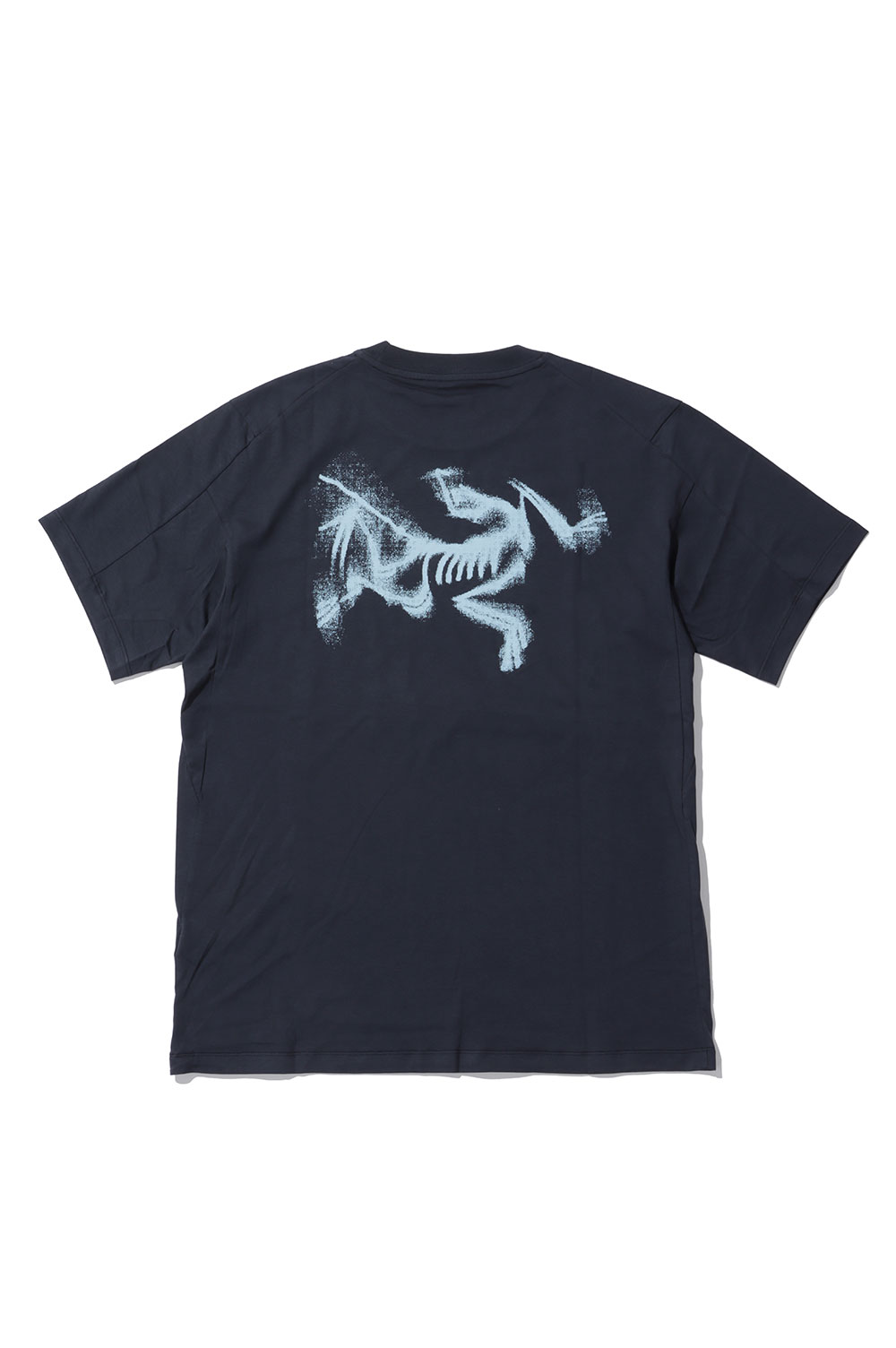 楽天市場】XXL（ブランドアークテリクス）（Tシャツ・カットソー