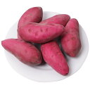 \期間限定★ポイント10倍/4個 野菜モデル ミニ野菜の装飾 サツマイモのモデル のような偽サツマイモ サツマイモの赤 サツマイモの飾り サツマイモモデル フェ...