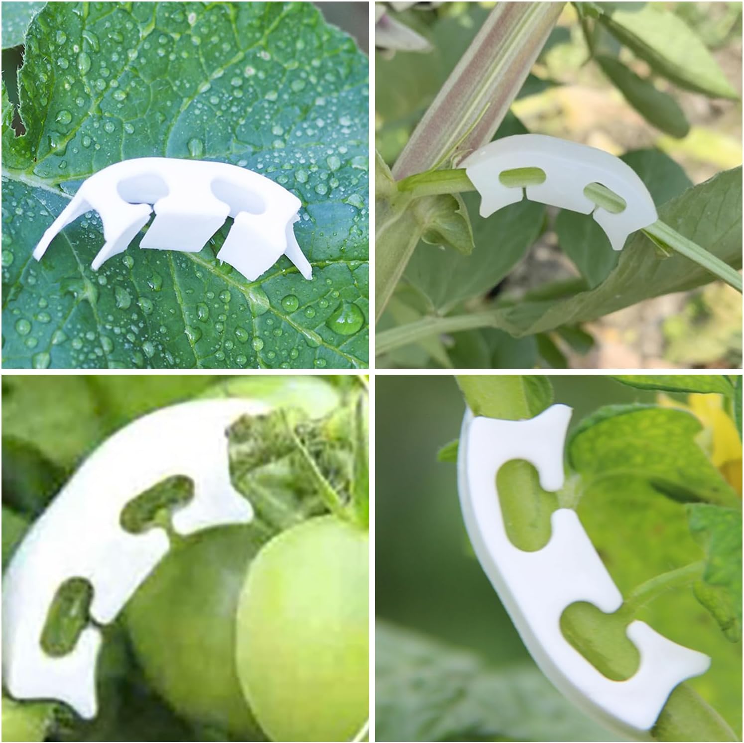 100個セット 植物 曲げ クリップ 園芸支柱 植物支柱 果物 花茎 観葉植物 支柱棚 園...