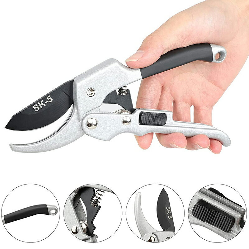 ��������Ф��� 3�ܤξ��� SK-5�ݿ�����Ф��� �ڤ�̣ȴ������Х��� �ѵ����Τ������� ������ �̼� �ߺ�����ƻ�� ��ݺ�Ȥ����� ���ڤФ��� �������å��դ�