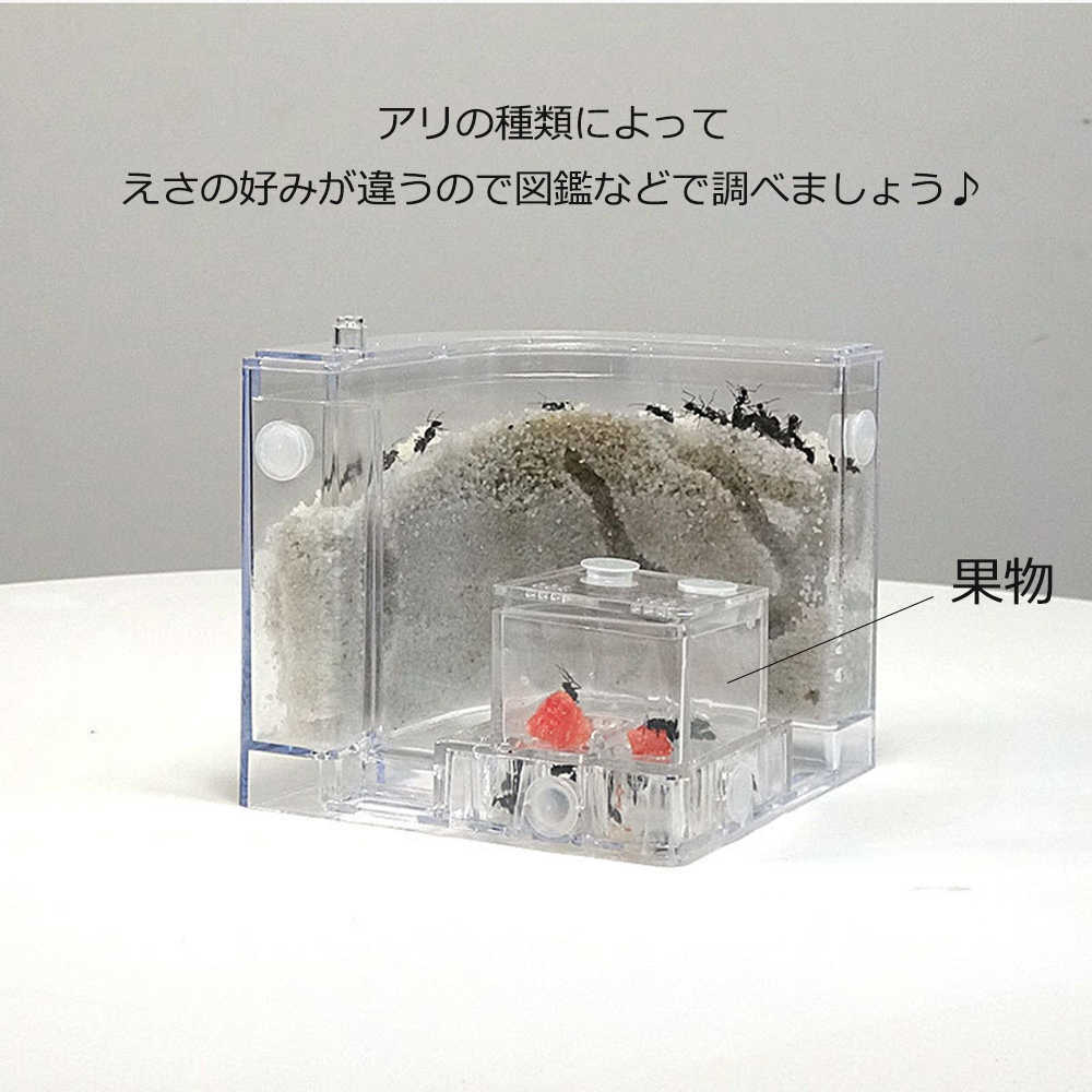 ������� ����ѻ����å� �������ѻ����å� ���� �� �ѻ� ���饱���� �� ��ͳ���� ������ ���å� ���� �� ���饻�å� �¸����å� �ѻ� ���� �ˤλ� ���λ� �Ƶ٤� �ؽ��� ���⤷���¸�