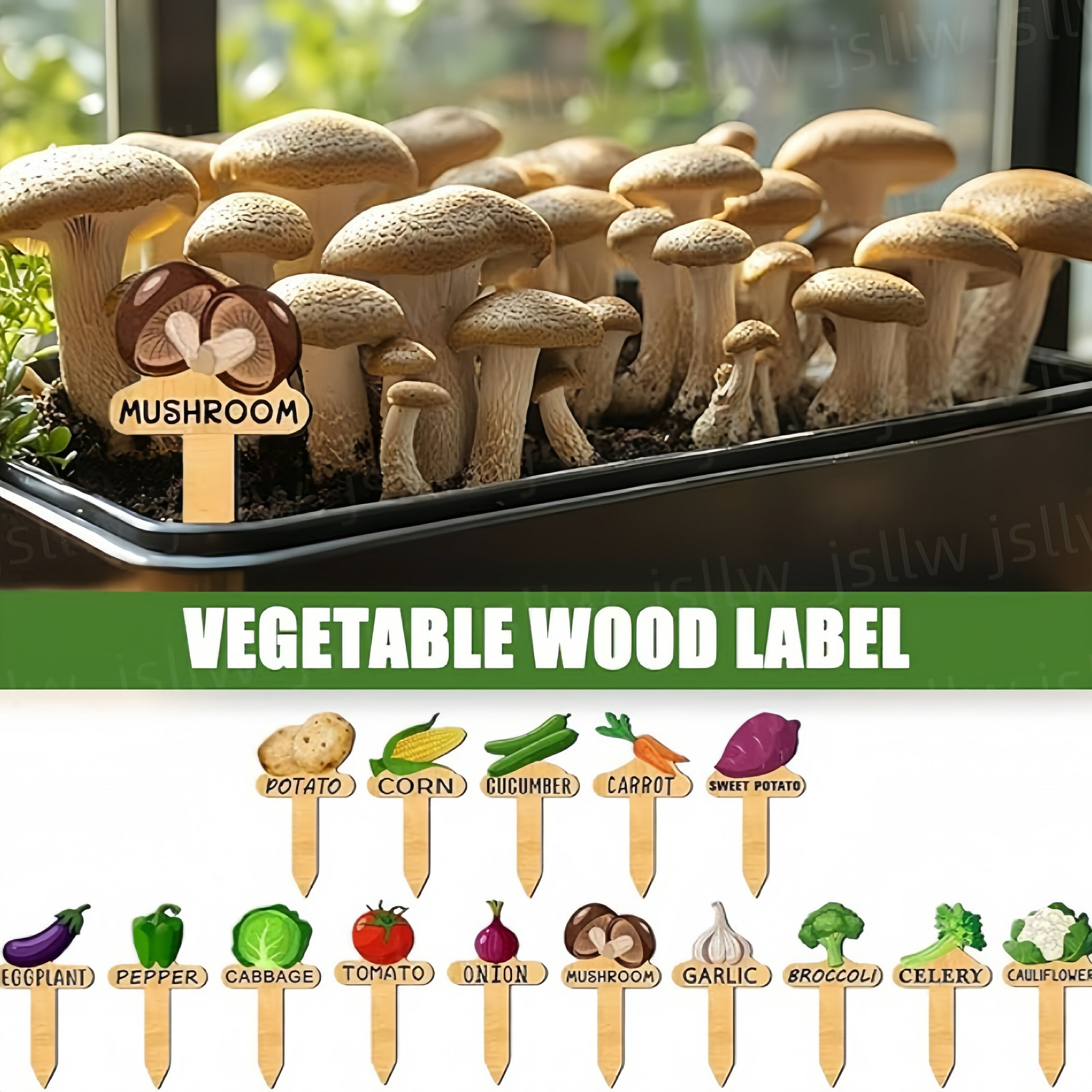 ��ݥ�٥� 30���� ��ʪ��٥� ��ڥ�٥� ������٥� ����ѥ�٥� �����ڱ� �٥��������ǥ˥� ���� ��ں��ݥ٥å��� �ץ��ȥޡ����� �����ǥ��٥� �ץ��ĥ͡��� �ΰ��ݥġ��� ���饹�ȥ�٥� ����ե��٥� �����ǥ˥󥰶���