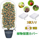 2枚入り 防虫ネット 虫よけカバー 防鳥ネット 干し柿鳥対策 虫対策 野菜栽培 園芸用ネット 蚊よけ 虫よけ 野菜栽培 DIY 虫鳥除け網 菜園プランター用 植...