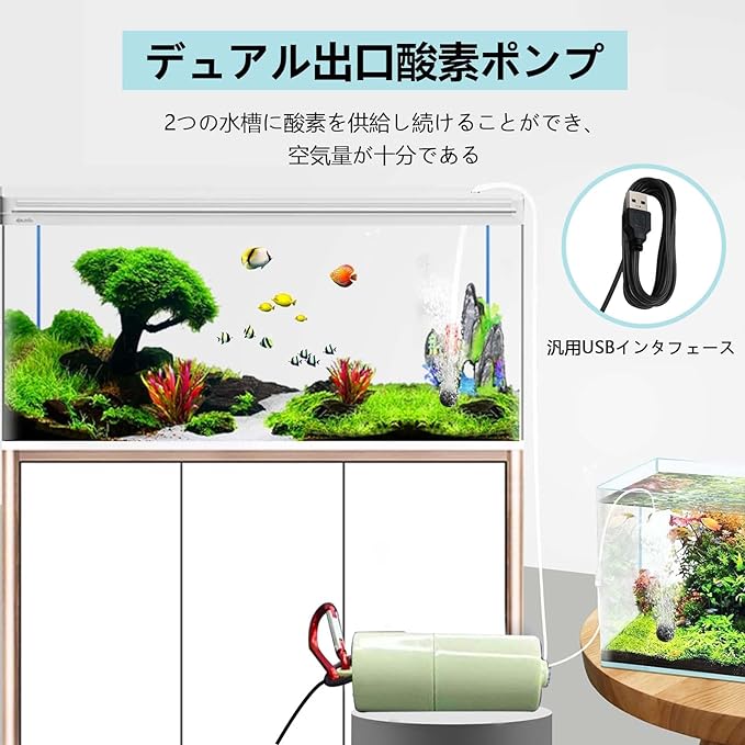 ����ݥ�׾��� ���� �ݥ�� USB ����ߥ˥����������ݥ�� ���奨�����ݥ�� �Ų��߷ס��ɿ塢����ѥ��ȡ��������Ӥ���ñ������ο�۴Ĥ˺�Ŭ