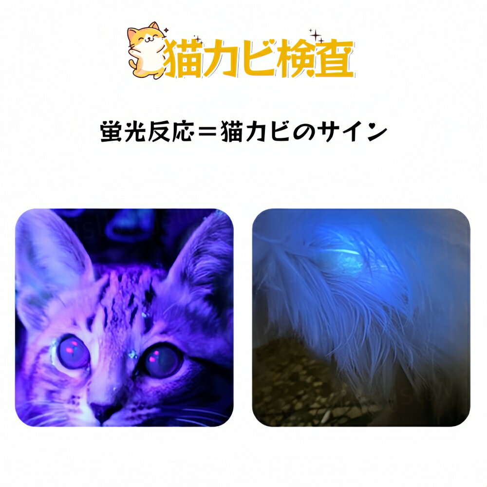 ブラックライト 猫カビチェックライト LED UVライト 紫外線ライト 懐中電灯 ブルー...