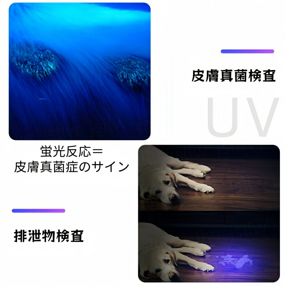 ブラックライト 猫カビチェックライト LED UVライト 紫外線ライト 懐中電灯 ブルー...