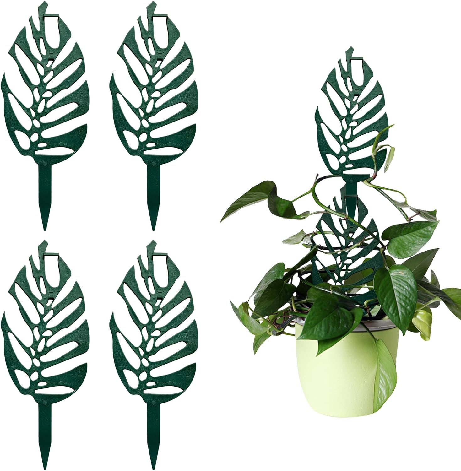 園芸支柱 朝顔 ヘゴ 支柱つる性植物 観葉植物 植物サポート モンステラ 支柱 フラワースタンド 花支架 ガーデニング支柱 4本 W100mm×H260mm 長期間使用 農業用 園芸用 成長段階 植物倒れ防止 使用簡単 多種類の蔓生植物対応