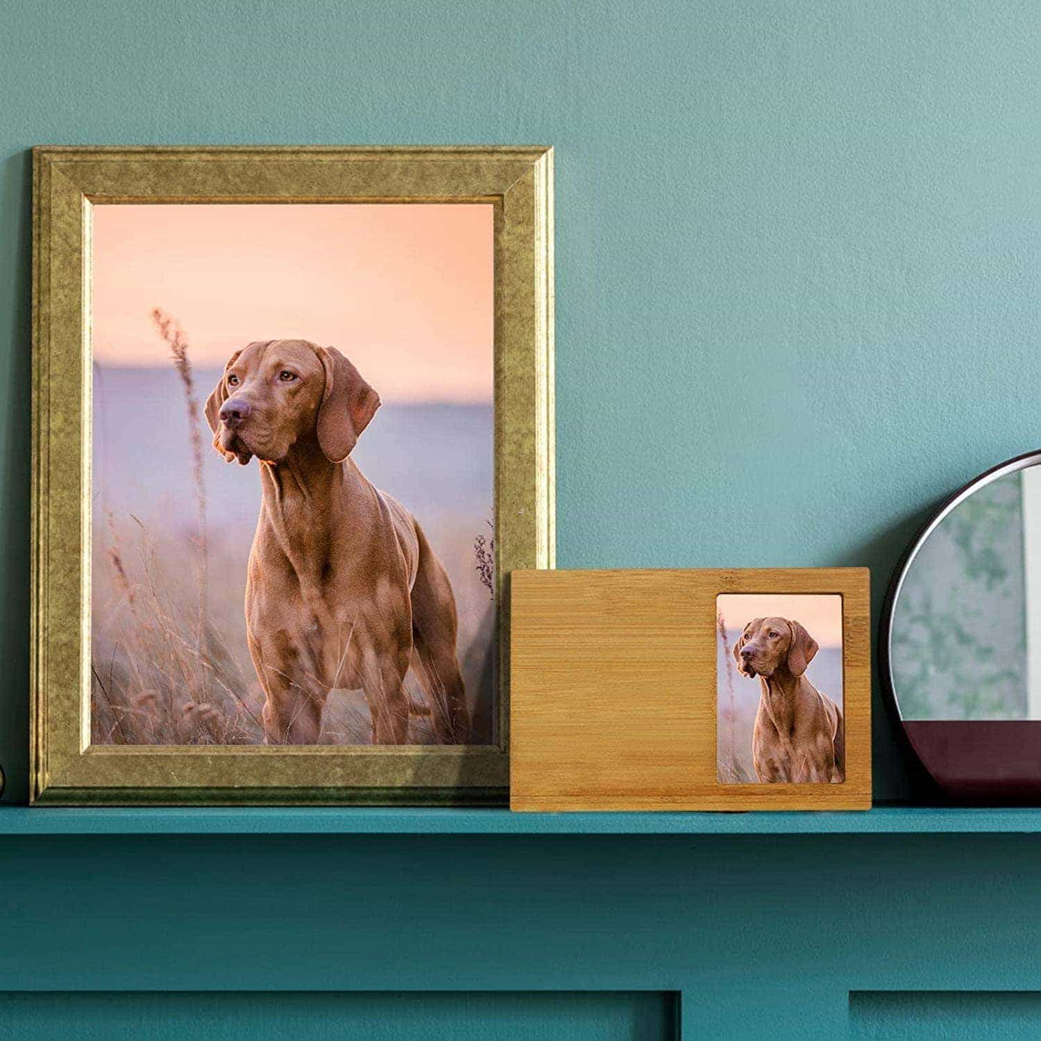 �ڥå�ʩ�� ���ۼ�Ǽ �� ǭ �ڥåȶ��� ���ꥢ��ܥå��� �̿��ե졼���դ� ���ꥢ������ �ڥå��� ������� ����ѥ��� ��ǰ��