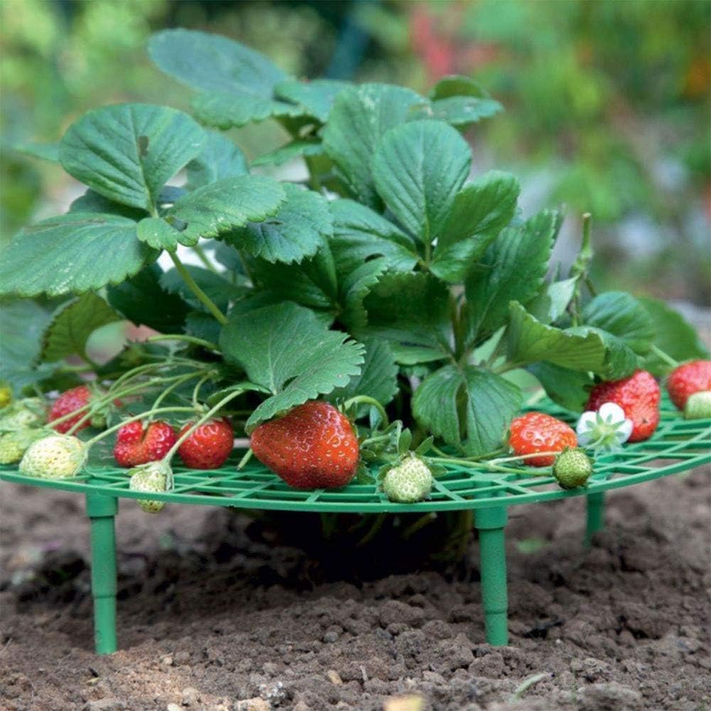 イチゴ サポート イチゴ支え棚 丸型 野菜ラック 植物 支柱サポート フラワースタンド 園芸ラック 園芸用簡単支柱セット 折り畳み 保持具 設置簡単 園芸 ガーデニング用品 フレーム イチゴ誘引作業野菜