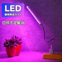 植物育成 ライト LED 水草栽培 温室水耕栽培 ランプ 室内植物育成ライト 多肉植物 育成 成長促進 光合成 日光 日照不足 解消 省エネ 送料無料