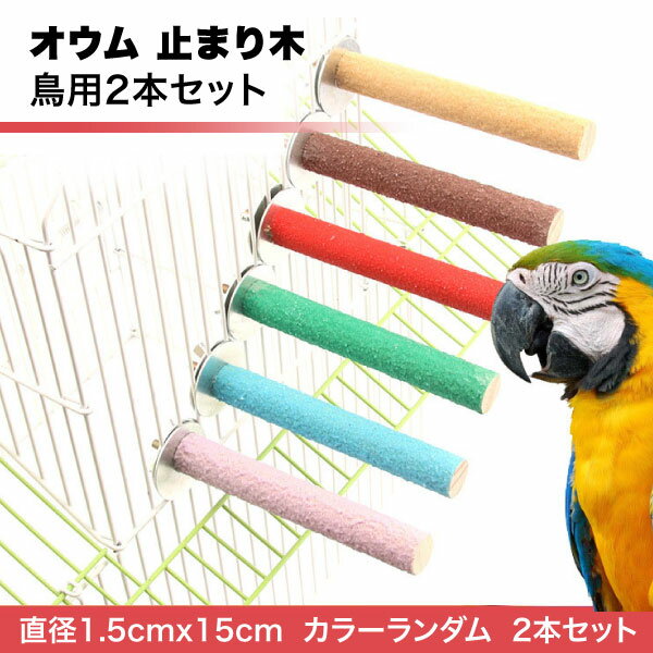 ■商品説明■ オウム 止まり木 鳥用 2本セット 爪 嘴 くちばし トリミング パーチ ストレート インコ 鳥スタンド 枝 爪を磨く 噛む玩具 ケージスタンド スクラブスティック スタンドロッド ケージ用 ペット用品 鳥栖 鳥休み場所 鳥用品 カラーランダム 送料無料 ※お取り寄せとなった場合、発送まで数日いただく場合がございます。 ※ 当店の商品は一部、共有在庫の商品もございます。品切れの際はご了承ください。 鳥用止まり木2本セット。自然木、木の表面はスクラブでできています。 くちばしと爪のトリミングに最適です。サイズ：直径約1.5cm重さ：約28g色：ランダムスクラブスティック先のネジを緩めて簡単に取り付けでき、毒性がなく、鳥に安全です。水洗いも可能！！ 類似商品はこちらインコロープ インコ おもちゃ 1m ロープ 880円鳥たちの寝床 片側開放 三角ハウス インコ お1,880円鳥たちの寝床 両側開放 三角ハウス インコ お1,880円鳥たちの寝床 片側開放 三角ハウス インコ お1,680円鳥たちの寝床 両側開放 三角ハウス インコ お1,680円鳥たちの寝床 片側開放 三角ハウス インコ お1,480円鳥たちの寝床 両側開放 三角ハウス インコ お1,480円家禽用足輪 鳥 鳥用 個体識別リング 8mm 1,380円鳥よけ フクロウ 鳥よけグッズ 2個セット 鳩1,248円新着商品はこちら2024/5/17ゲーミング マイク カバー スポンジ USB 3,180円2024/5/17ASUS ROG Ally フィルム 2枚セッ1,000円2024/5/17ASUS ROG Ally シリコン カバー 1,980円再販商品はこちら2024/5/15白手袋 綿 作業用 コットン手袋 軽作業用綿手1,000円2024/5/15帽子掛け 後付け 8個セット フック ハットホ848円2024/5/15スマホ 落下防止 ベルト グリップ 落下防止バ398円2024/05/20 更新 オウム 止まり木 鳥用 2本セット 爪 嘴 くちばし トリミング パーチ ストレート インコ 鳥スタンド 枝 爪を磨く 噛む玩具 ケージスタンド スクラブスティック スタンドロッド ケージ用 ペット用品 鳥栖 鳥休み場所 鳥用品 カラーランダム