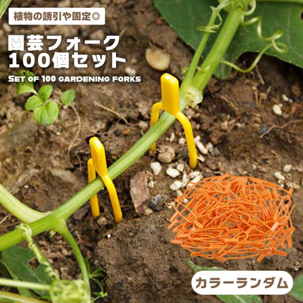 植物サポート 園芸クリップ 固定フォーク 100個セット 100Pcs イチゴフォーク プラントクリ ...