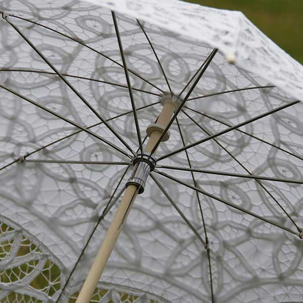 �� �졼���� �졼���ѥ饽�� ���� ���ƻ� �� �ɽ��졼�� �졼���β� ���λ� �� �����ǥ��󥰥ѡ��ƥ��� �֥饤���� �뺧�� ���� ����ƻ�� �̿���ʪ ���ޥ���å� �����ץ쾮ƻ�� �� �ѥ饽�� ����̵��