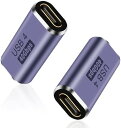 USB Type-C 変換アダプタ アダプタ 2個セット40Gbps 高速データ転送 100W/5A 急速充電 8K@120Hz映像出力 TYPE-Cメス TY...