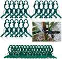 園芸クリップ 支柱クリップ 誘引クリップ 植物クリップ 植物 固定 クリップ 園芸用支柱クリップ 繰り返し使える 農業用 結束バンド 植物サポート 接木 トマト ナス 果菜栽培 茎 耐候性 育成 (大15個/小15個)