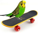 鳥 玩具 ミニ スケートボード ペット用品 インコ スケートボ スタンドアップ トレーニング ストレス軽減 おもちゃ ペットグッズ オウムのおもちゃ
