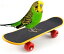 鳥 玩具 ミニ スケートボード ペット用品 インコ スケートボ スタンドアップ トレーニング ストレス軽..