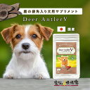 ★新発売★Deer AntlerV 36粒 犬用 サプリメント 36粒 犬 ドック 老犬 ペット サプリ 元気 足腰 食欲 鹿茸 ロクジョウ 鹿の角 国産 漢方 鹿 袋角 ナツメ ベニソン ジビエ ハトムギ 鹿角 【ペット】