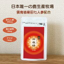 母の日 田鹿精 10日分 お試しパック  鹿茸 田七人参 ロクジョウ ナツメ 肝臓 二日酔い 酒 アレルギー 金不換 美容 鹿 袋角 生活習慣 免疫 体力 肺 目 漢方 元気 花粉症 血流 片仔廣 肝炎 血液 さらさら 動脈