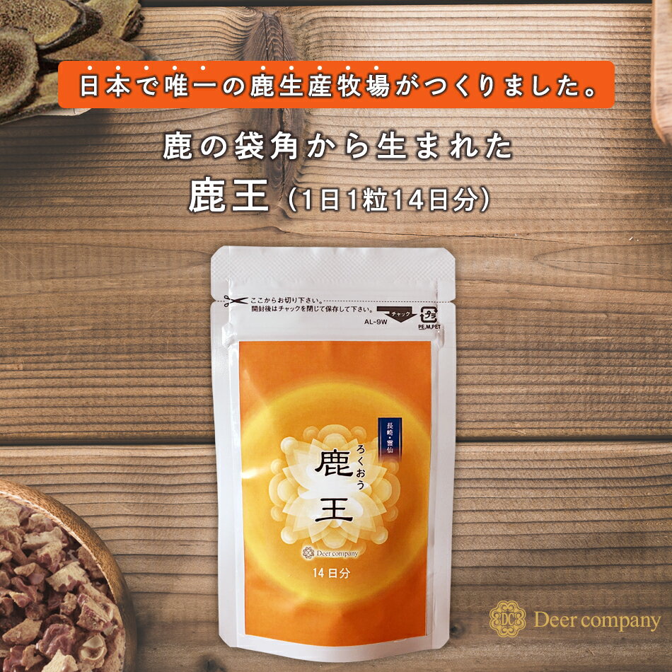 田七人参 パウダー（三七人参） 100g　粉末 100% お茶 サプリメント