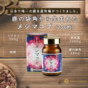 メシマコブ 200粒 鹿茸 桑 桂皮 鹿の角 ロクジョウ サルノコシカケ 漢方 妊活 鹿 鹿角 国産 メシマ カルシウム ガン キノコ 免疫 ギフト 40代 5...