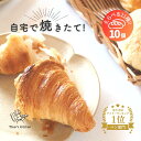 【 スーパーSALE 最大30％オフ 】パン 送料無料 10