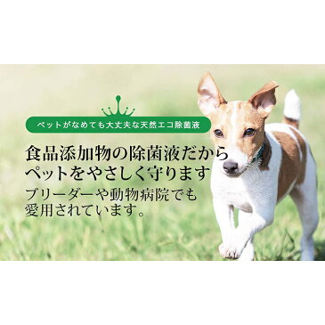 ディフェンドウォーター DW1(旧DW25) 除菌 除菌剤 除菌液 消毒 消臭 濃縮 25L作成可能(100ml) ペット 子犬 仔犬 猫 子猫 仔猫 ペット除菌 ペット消臭剤 ペット消臭 スプレー しつけ トイレ ケージ掃除 食器 おもちゃ 天然成分100% ノンアルコール 無添加 日本製 送料無料