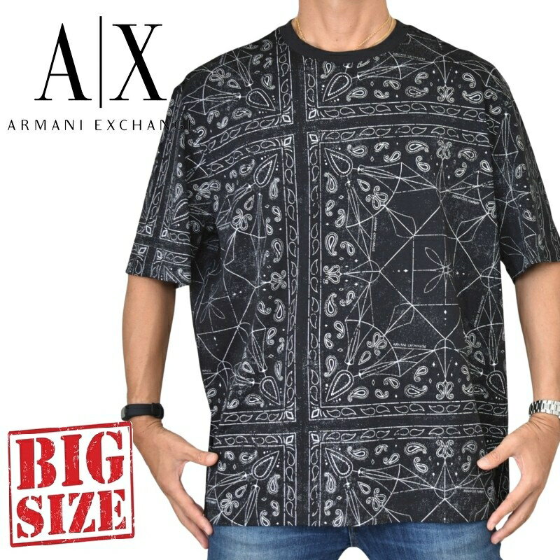 大きいサイズ メンズ アルマーニエクスチェンジ A/X ARMANI EXCHANGE クルーネック ペイズリープリント 半袖Tシャツ REGULAR FIT XXL