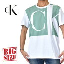 CK カルバンクライン Calvin Klein クルーネック 半袖Tシャツ ロゴプリント XL XXL 大きいサイズ メンズ