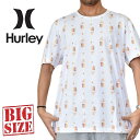 Hurley ハーレー 半袖 Tシャツ 総柄 USAモデル XXL 大きいサイズ メンズ(4)