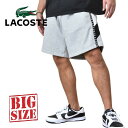 LACOSTE ラコステ スウェットパンツ ハーフパンツ ショーツ ショートパンツ SMALL STRIPED CROC SHORT XXXL 大きいサイズ メンズ あす楽