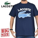 大きいサイズ メンズ Lacoste ラコステ クルーネック 半袖Tシャツ ネイビー REGULAR FIT XXL XXXL 