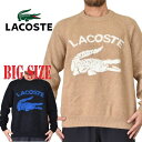 ラコステ LACOSTE ラコステ グラフィック クルーネック ウール セーター ニット カットソー 黒 ブラック ベージュ XXL 大きいサイズ メンズ あす楽