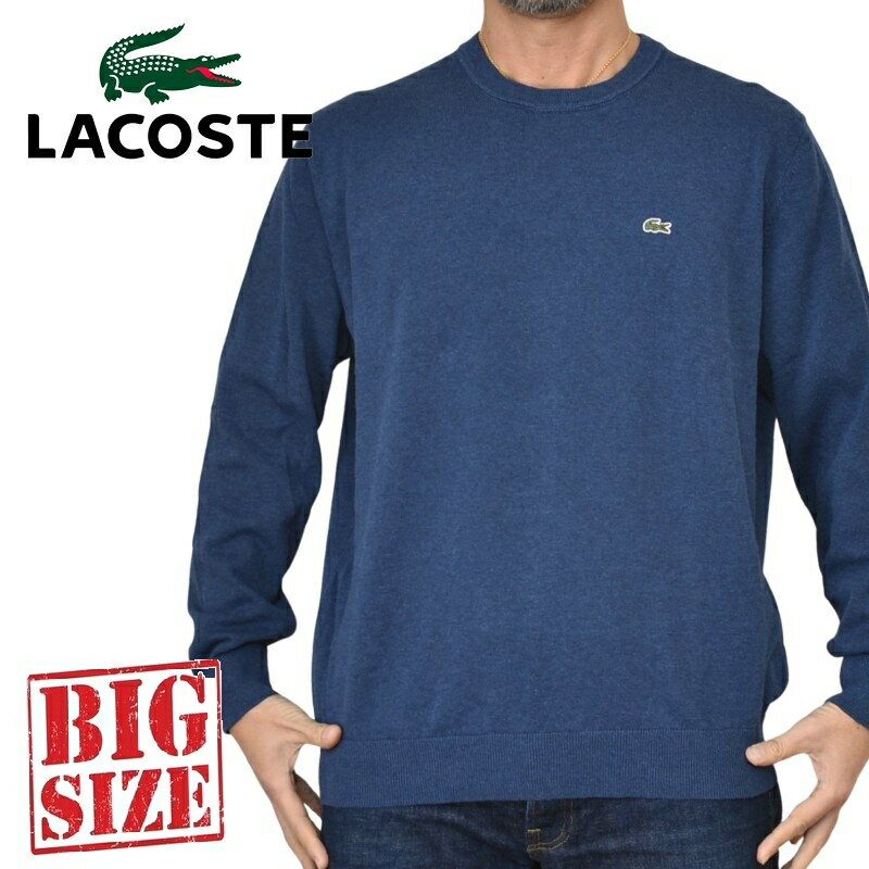 大きいサイズ メンズ LACOSTE ラコス�