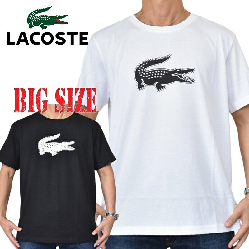楽天市場】Lacoste ラコステ（サイズ（S/M/L）4L）（トップス｜メンズ