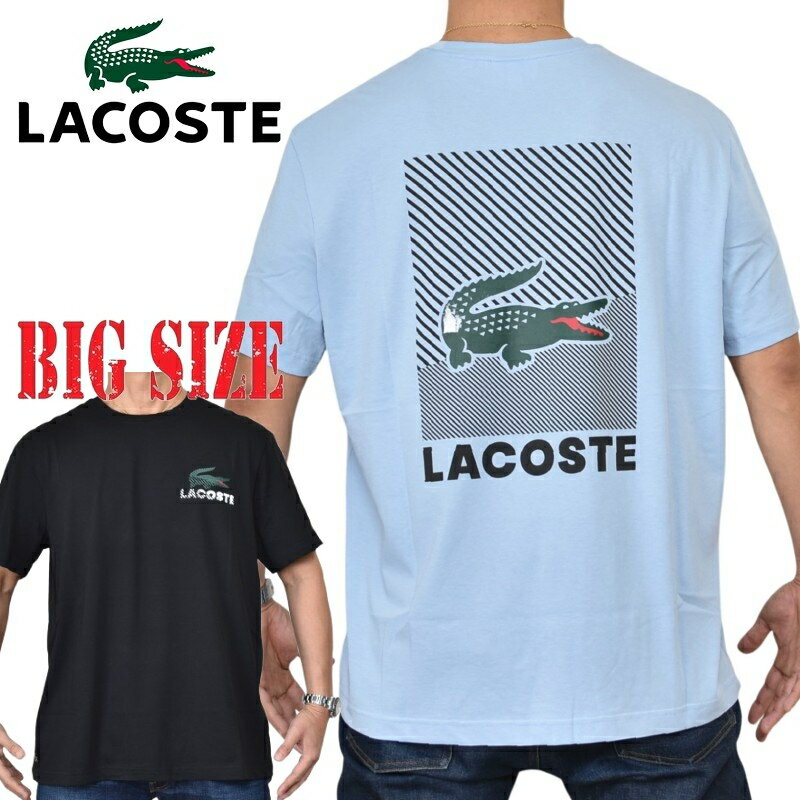 大きいサイズ メンズ Lacoste ラコステ クルーネック 半袖Tシャツ ブラック 黒 ブルー 青 REGULAR FIT XXL XXXL XXXXL
